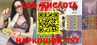 a pvp Новодвинск