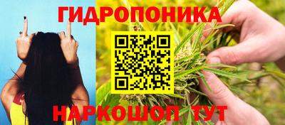 a pvp Новодвинск
