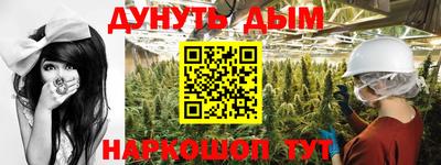 a pvp Новодвинск