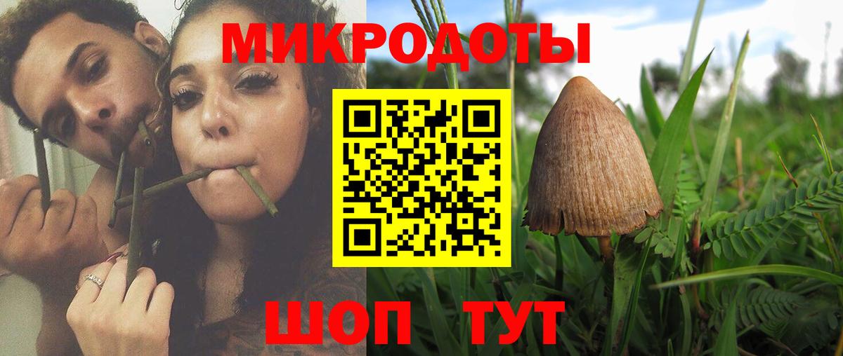 Сосновоборск  Галлюциногенные грибы Psilocybe  Псилоцибиновые грибы MAGIC MUSHROOMS  Вход с VPN 